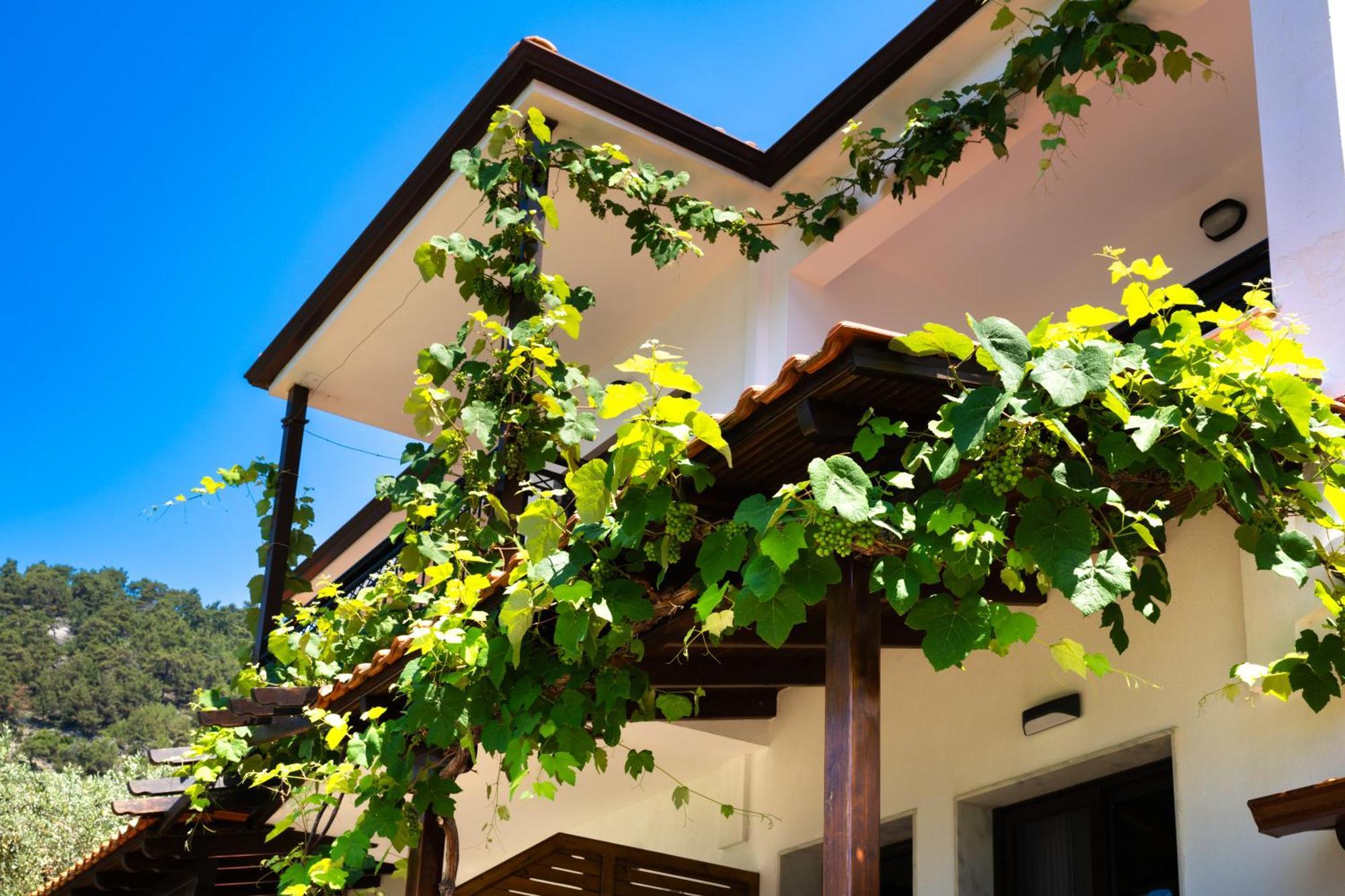 Island View Villa Golden Beach  외부 사진